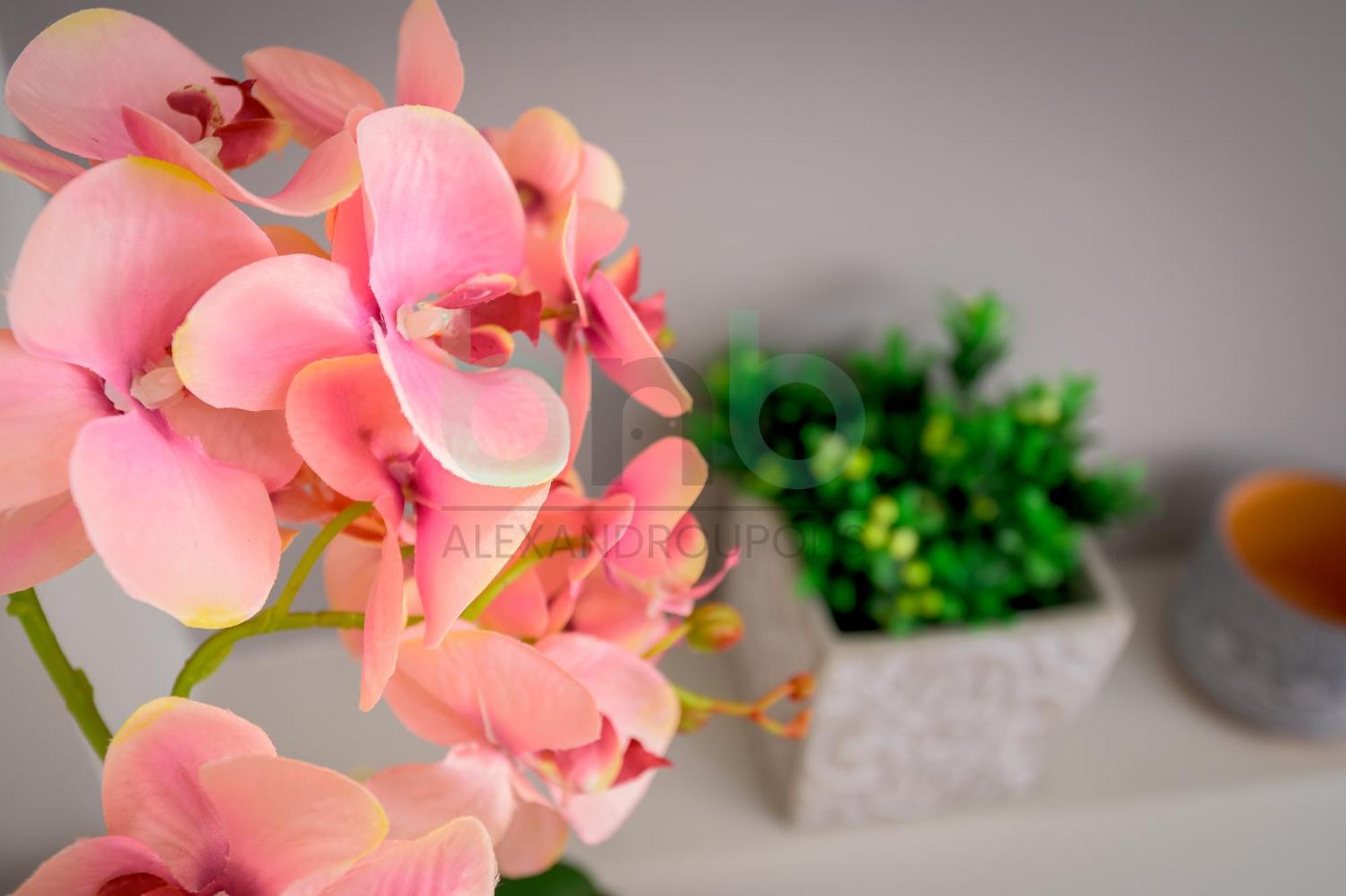 The Floral Apartment *