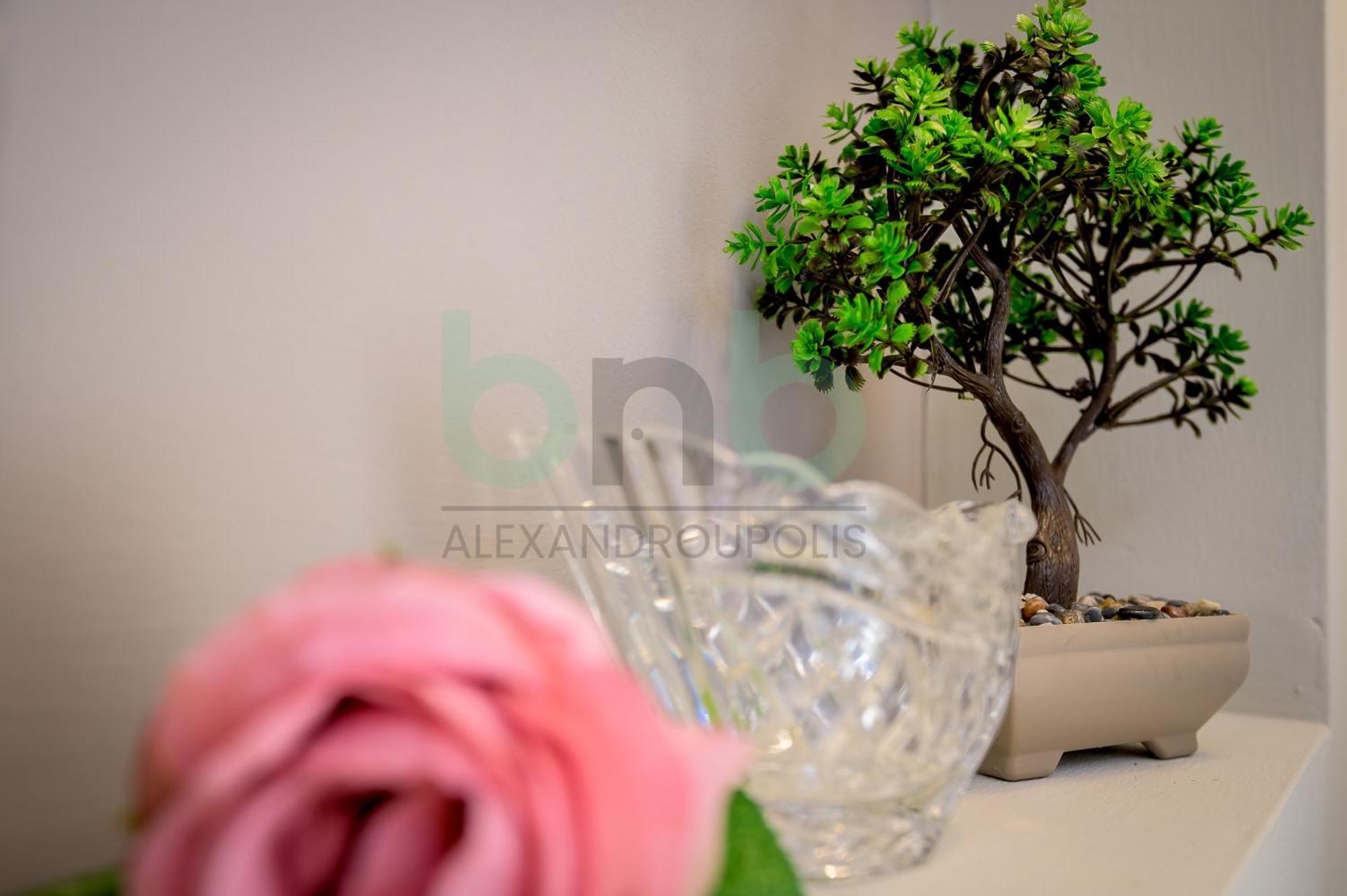 Apartment The Floral *