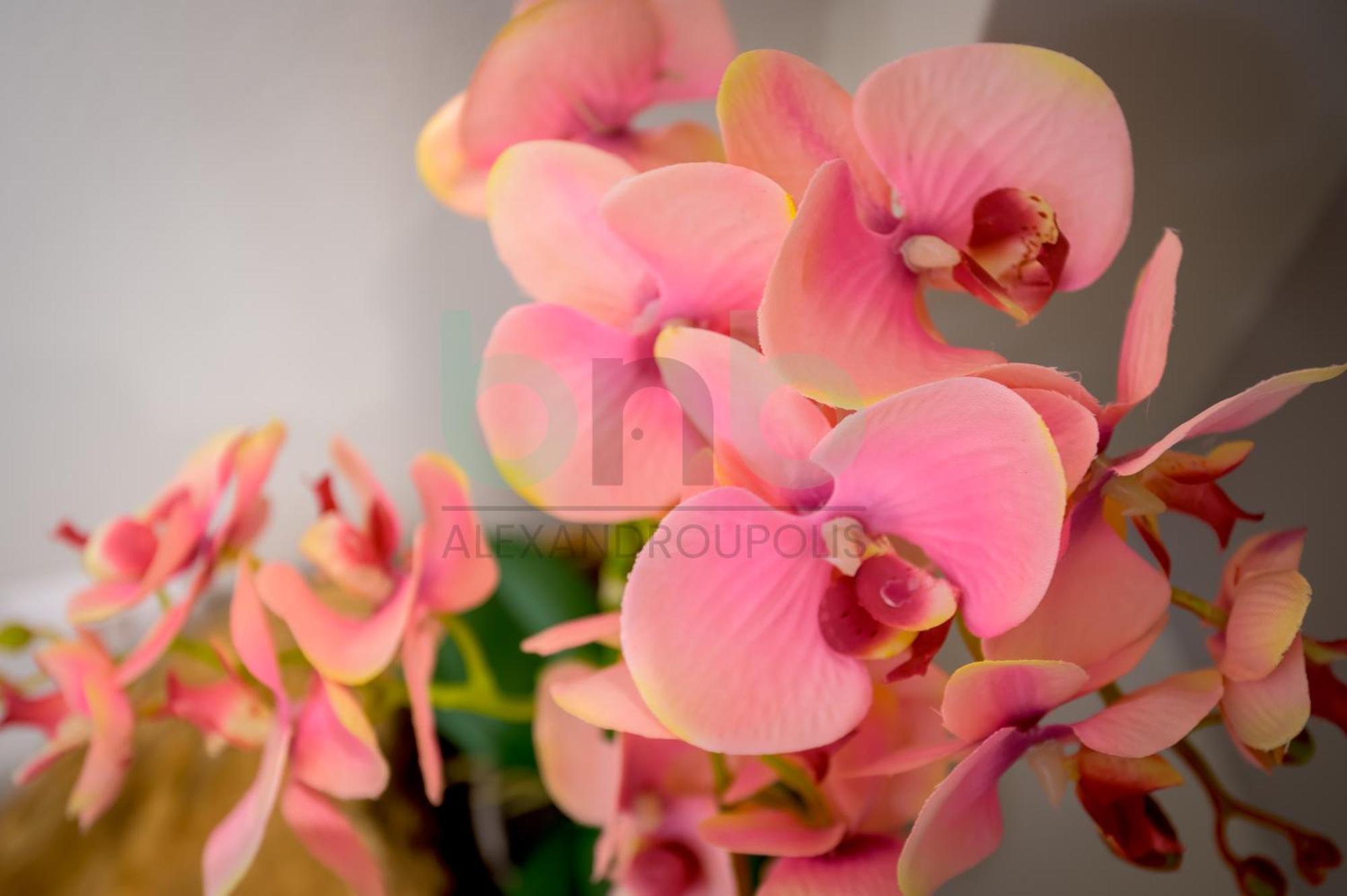 The Floral Alexandroupoli