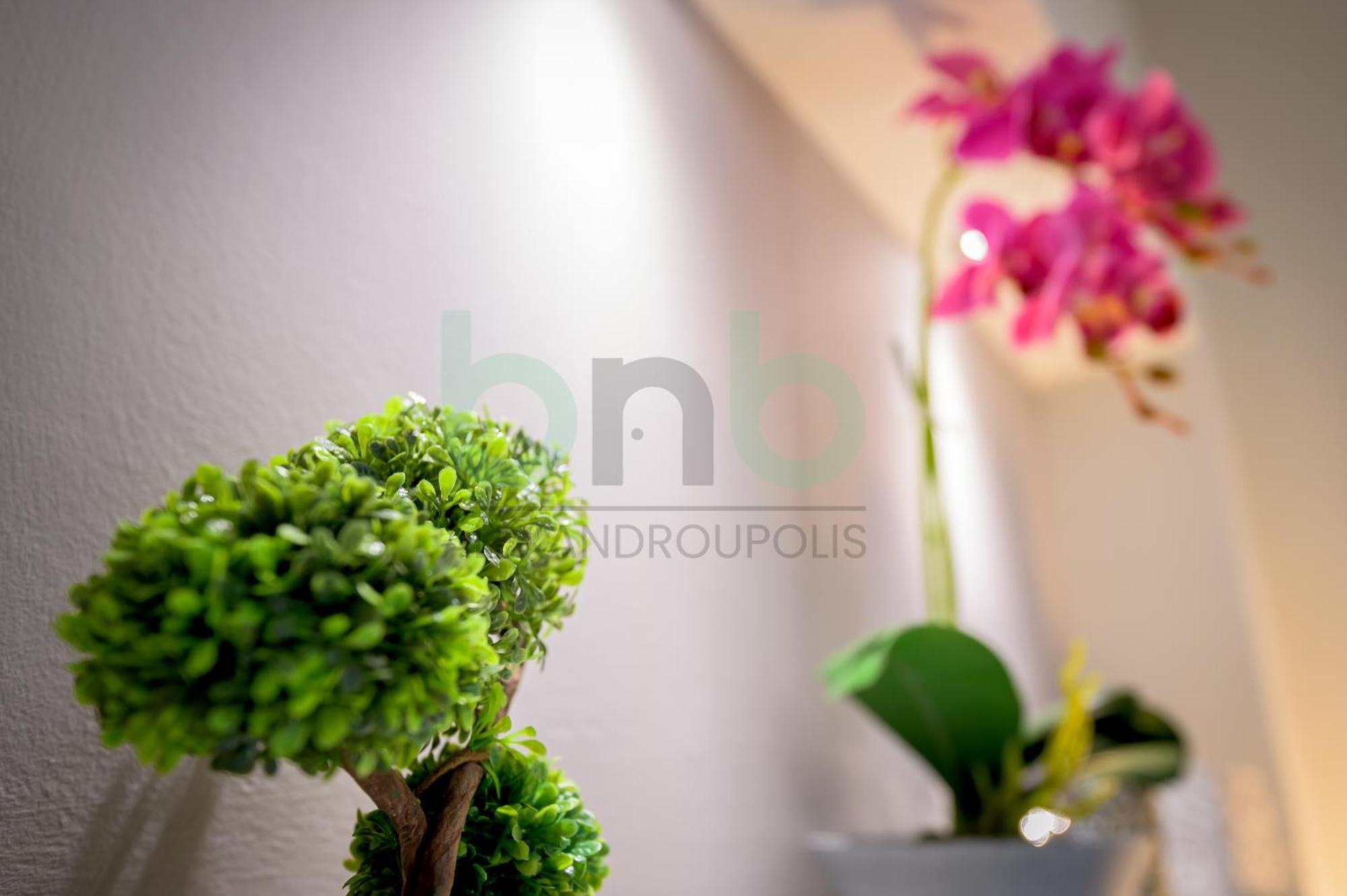 Apartment The Floral